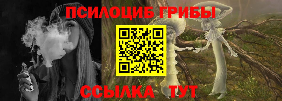Ржев  Псилоцибиновые грибы мухоморы  Вход с VPN 